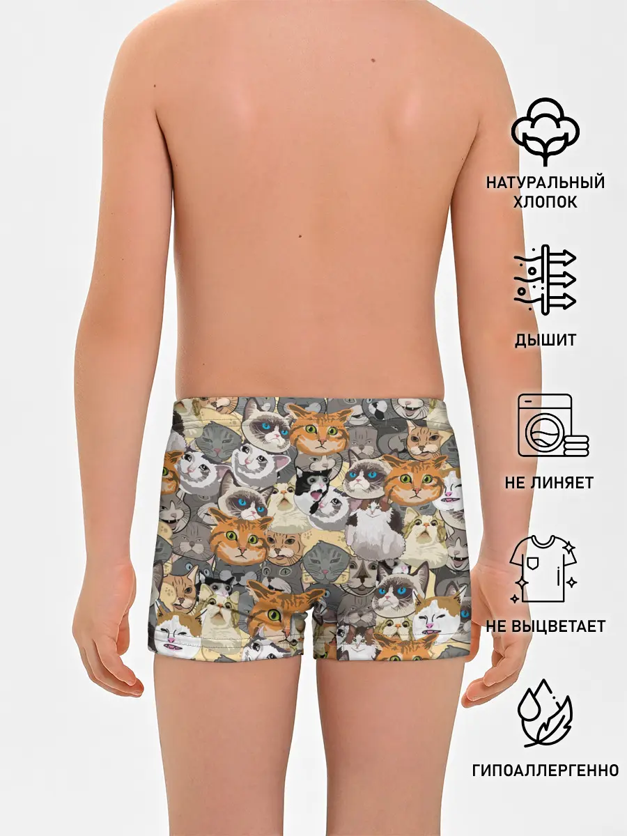 Трусы для мальчиков / ALL CATS MEMES