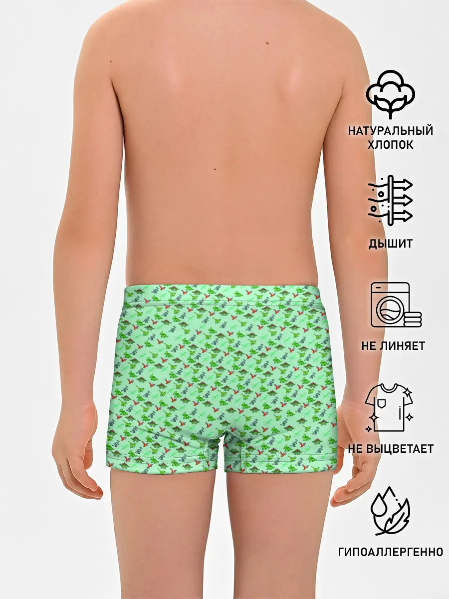 Трусы для мальчиков / dinosaurs green