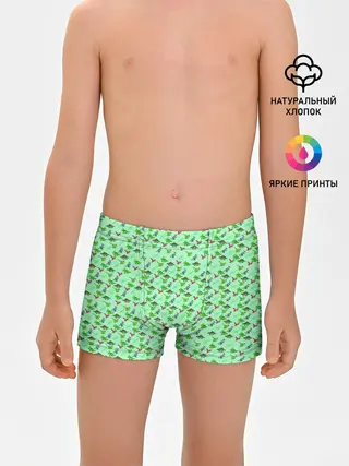 Трусы для мальчиков / dinosaurs green