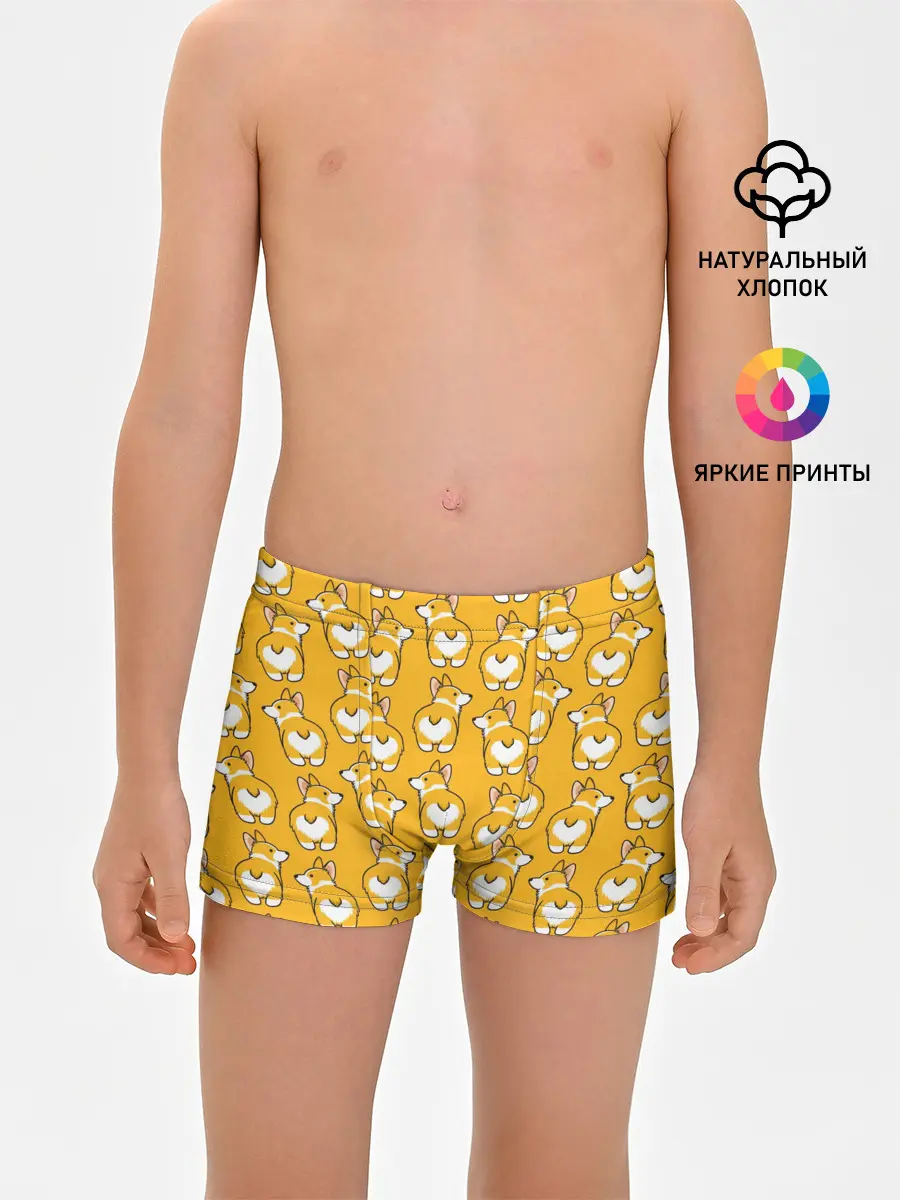 Трусы для мальчиков / Корги Паттерн