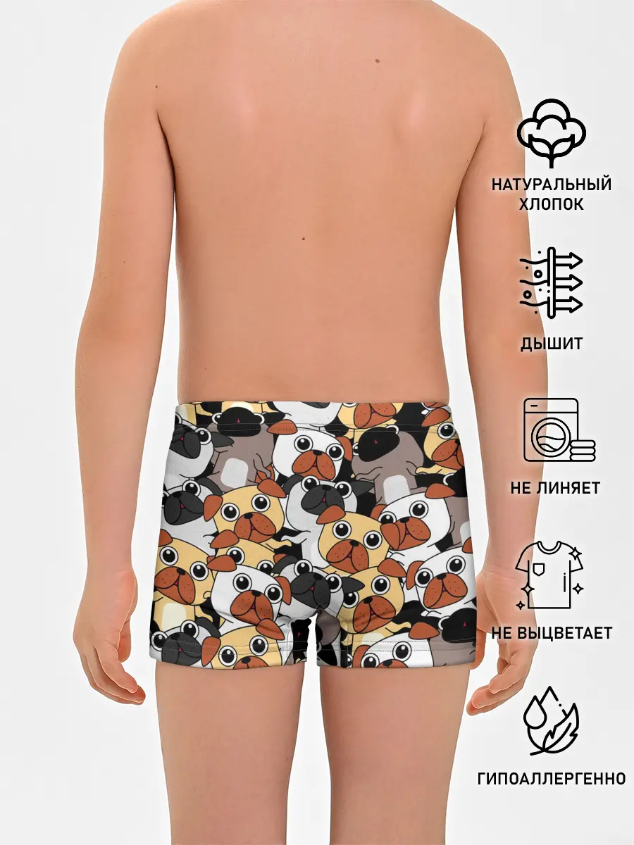 Трусы для мальчиков / Собаки мопсы