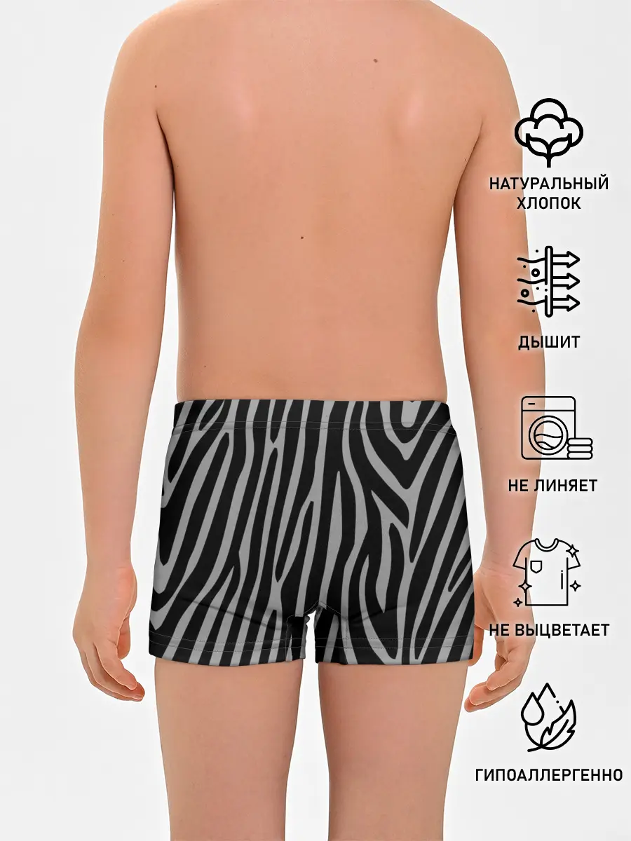 Трусы для мальчиков / Zebra Camouflage