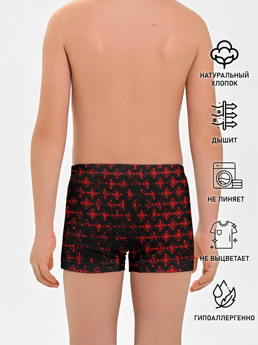 Трусы для мальчиков / FAR CRY 5 СЕКТАНТЫ / ГРЕШНИК