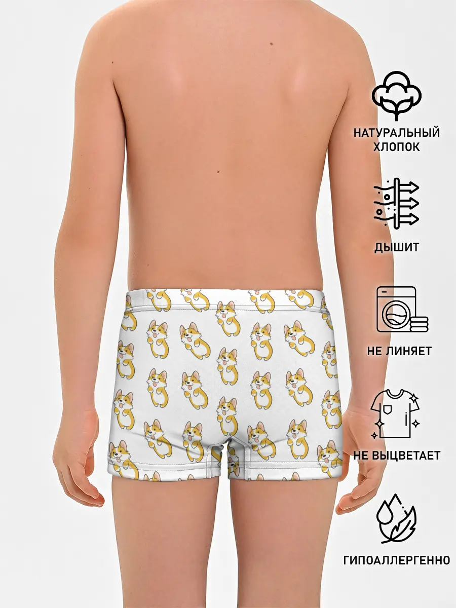 Трусы для мальчиков / Собаки | Корги
