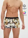 Мужские трусы боксеры / КОТ МЕМ