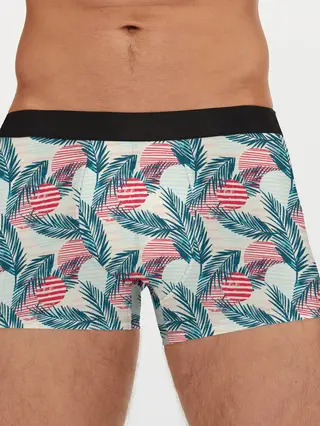 Мужские трусы боксеры / Ретро арт