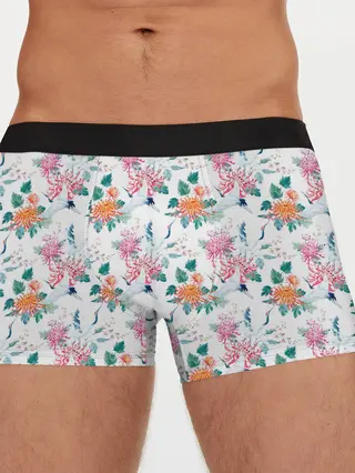 Мужские трусы боксеры / Журавли и хризантемы