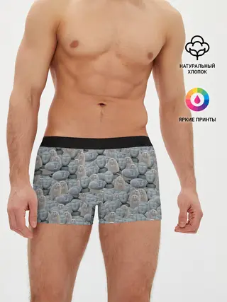 Мужские трусы боксеры / Каменные лица 3D МЕМ 2020