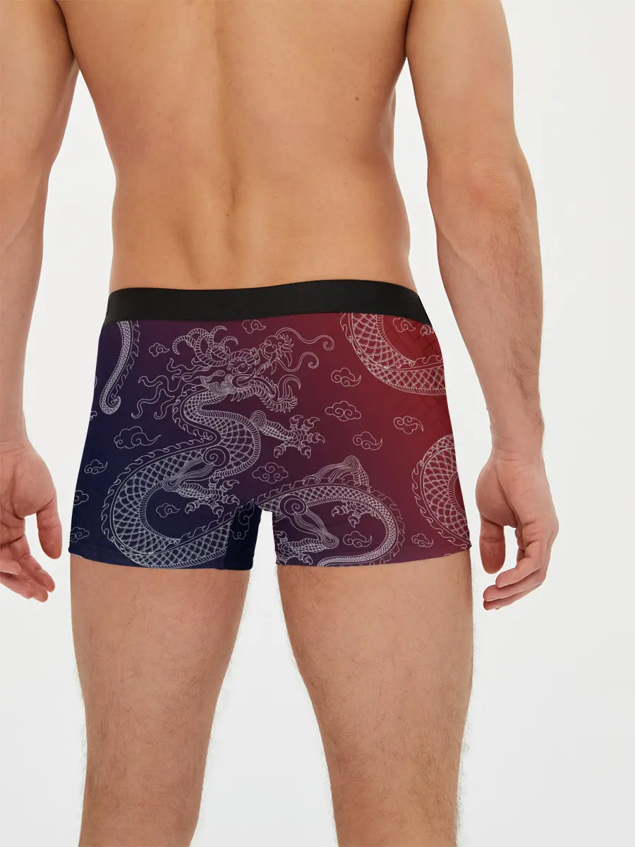 Мужские трусы боксеры / Традиционный китайский дракон