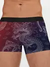 Мужские трусы боксеры / Традиционный китайский дракон