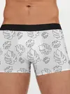 Мужские трусы боксеры / Листья