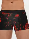 Мужские трусы боксеры / ROSES | РОЗЫ