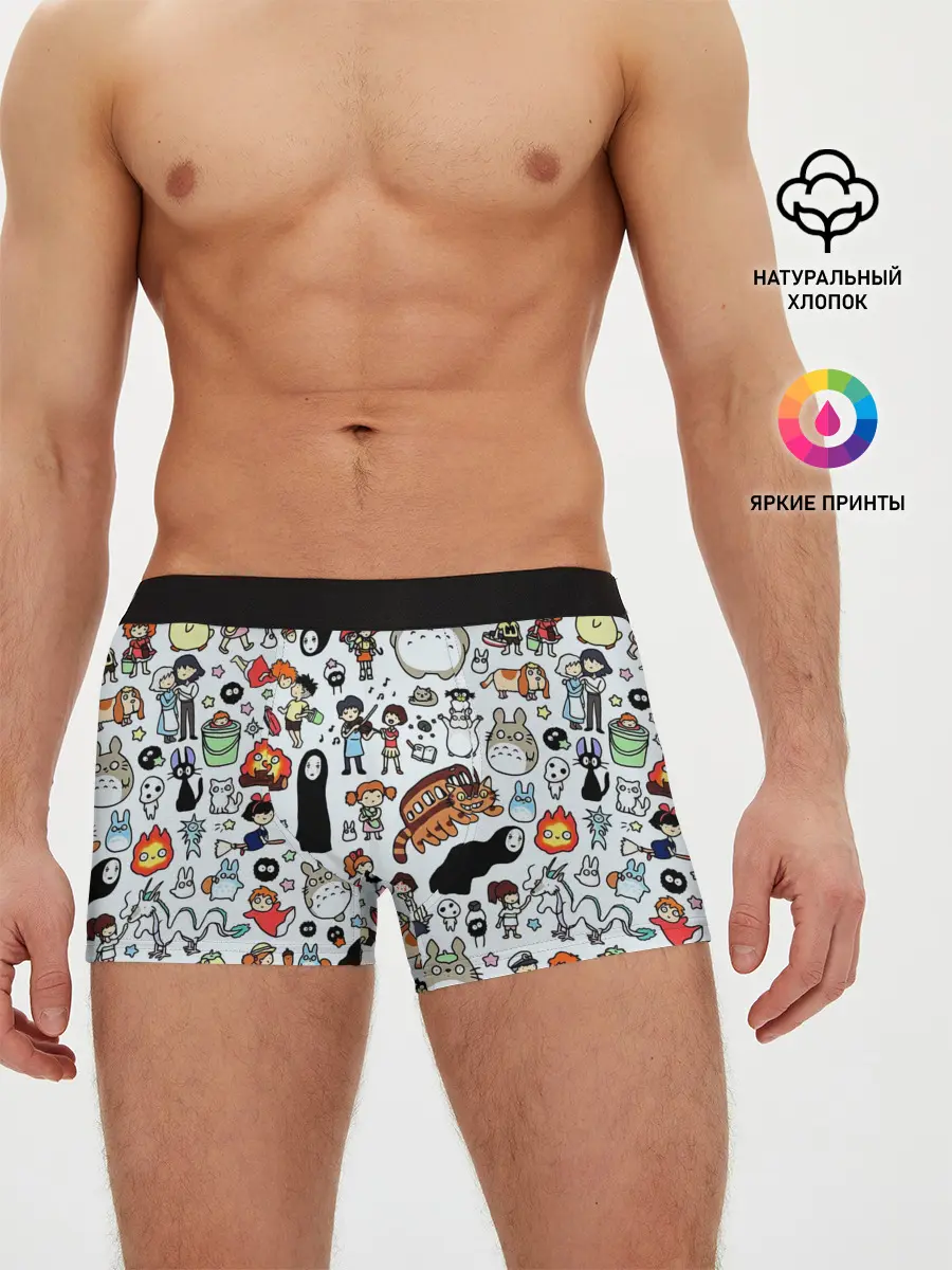 Мужские трусы боксеры / Персонажи Миядзаки паттерн