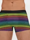 Мужские трусы боксеры / Этнический радужный орнамент