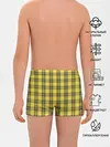Трусы для мальчиков / Клеточный узор
