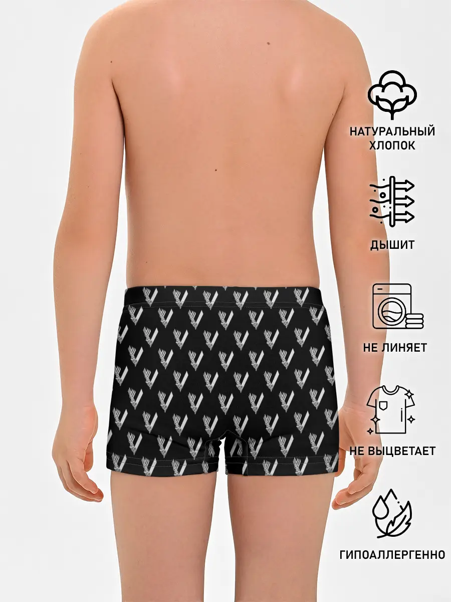 Трусы для мальчиков / Викинги Лого Паттерн | Vikings Pattern