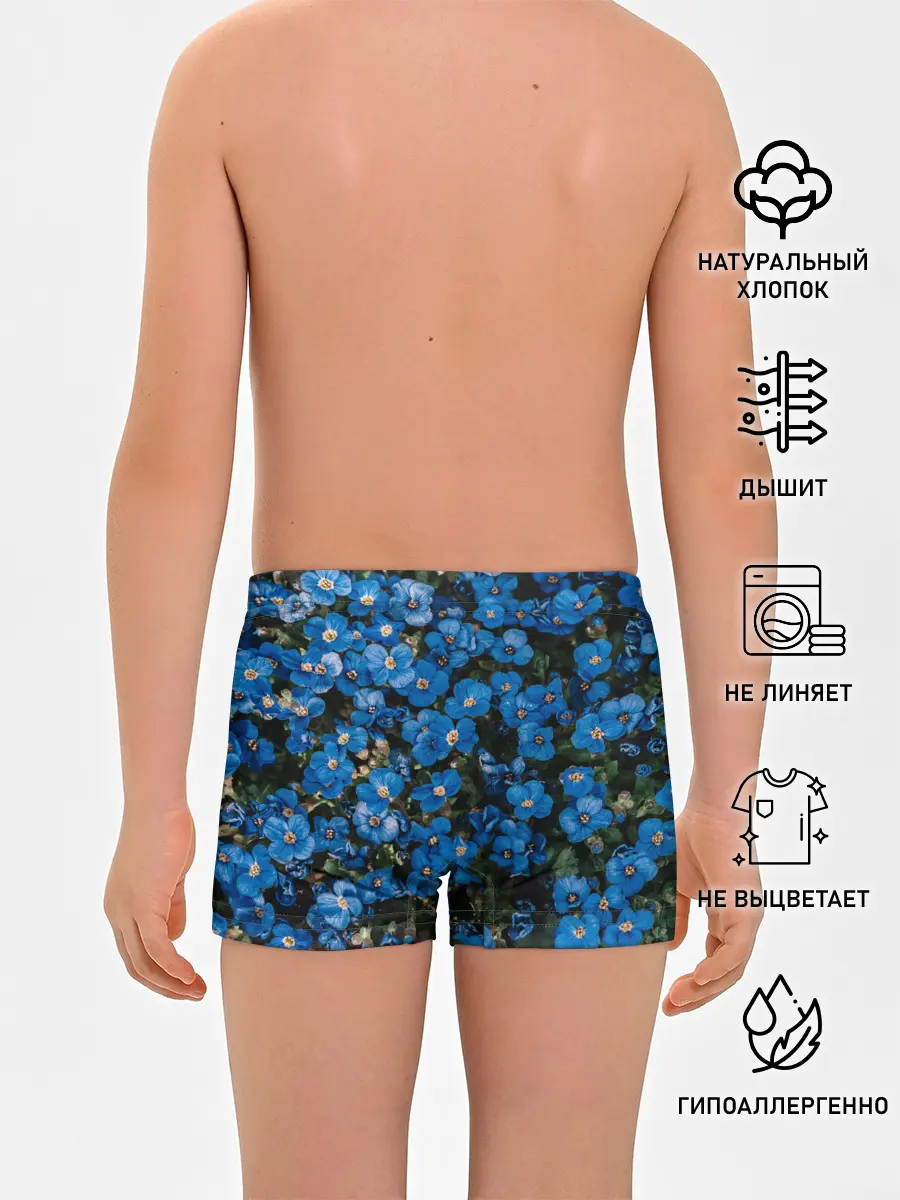 Трусы для мальчиков / Поле синих цветов фиалки лето