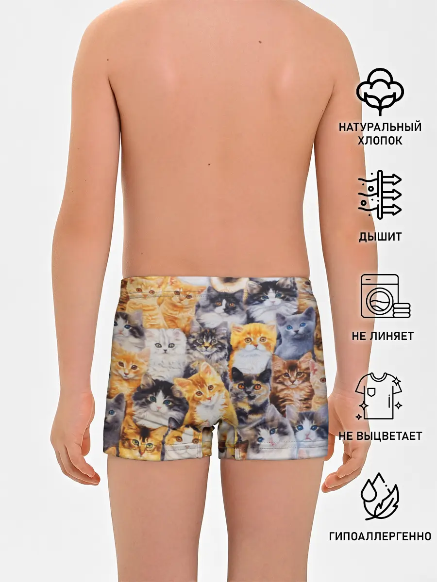 Трусы для мальчиков / КОТЯТКИ