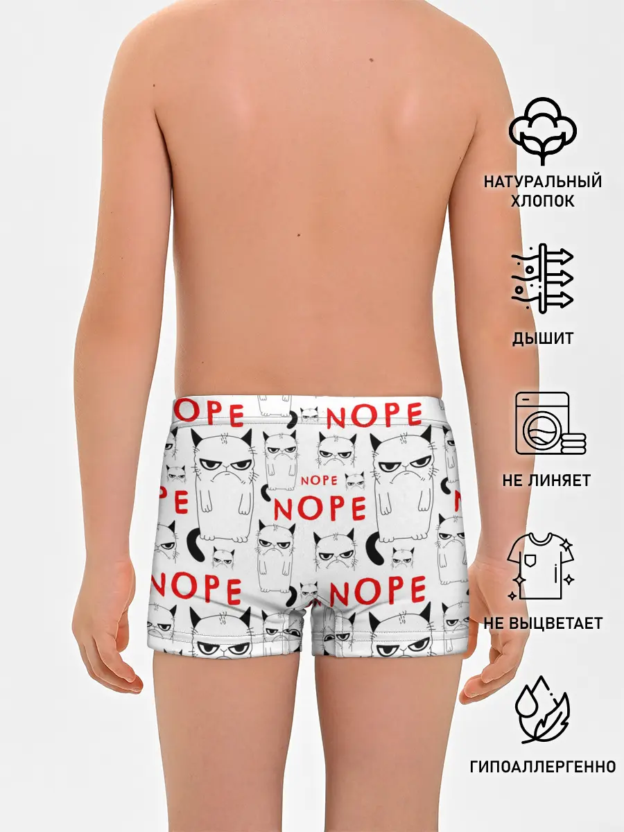 Трусы для мальчиков / Grumpy Cat. Nope!