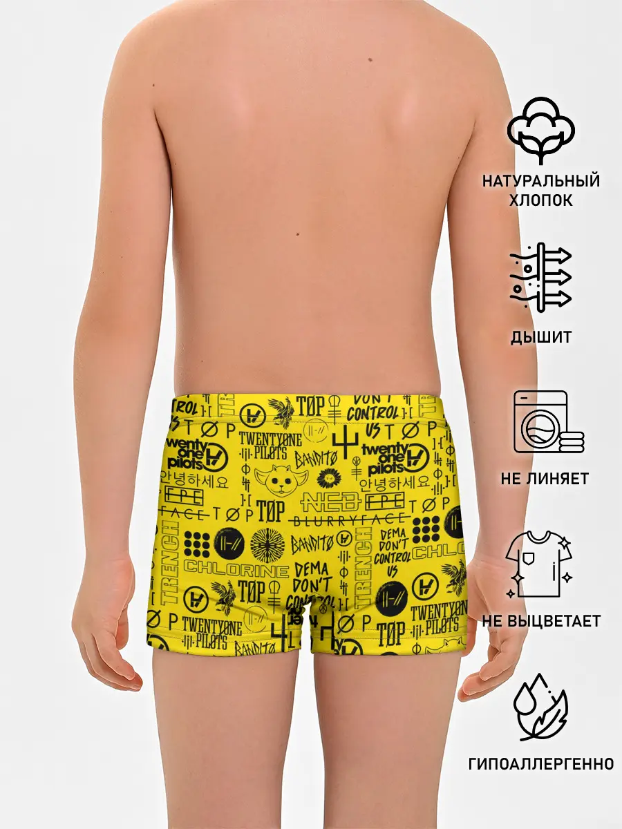 Трусы для мальчиков / TWENTY ONE PILOTS