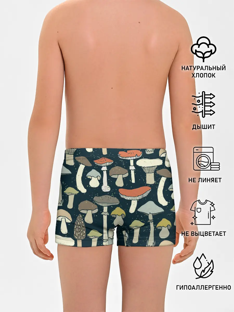 Трусы для мальчиков / Загадочный лес