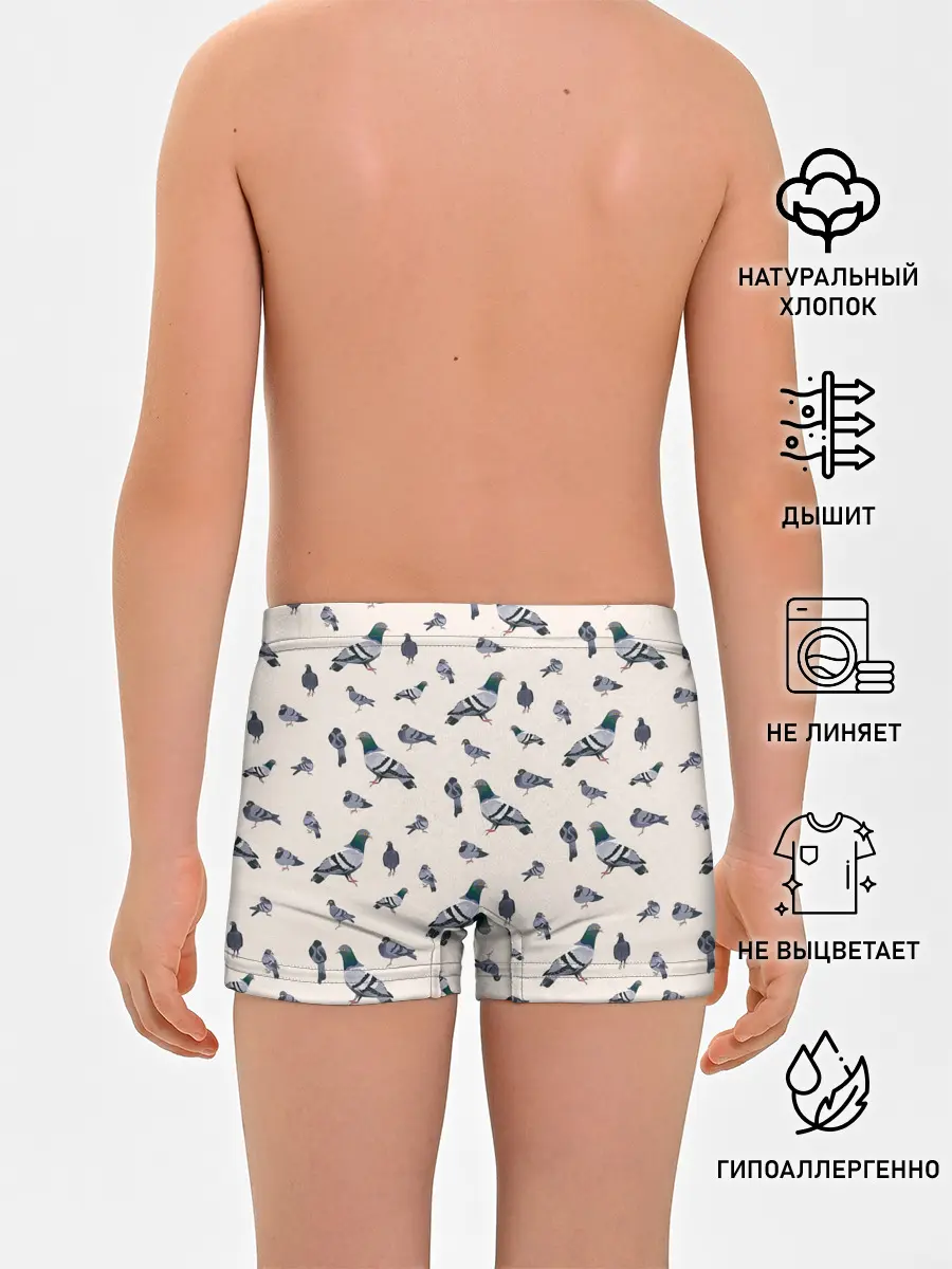 Трусы для мальчиков / Голуби