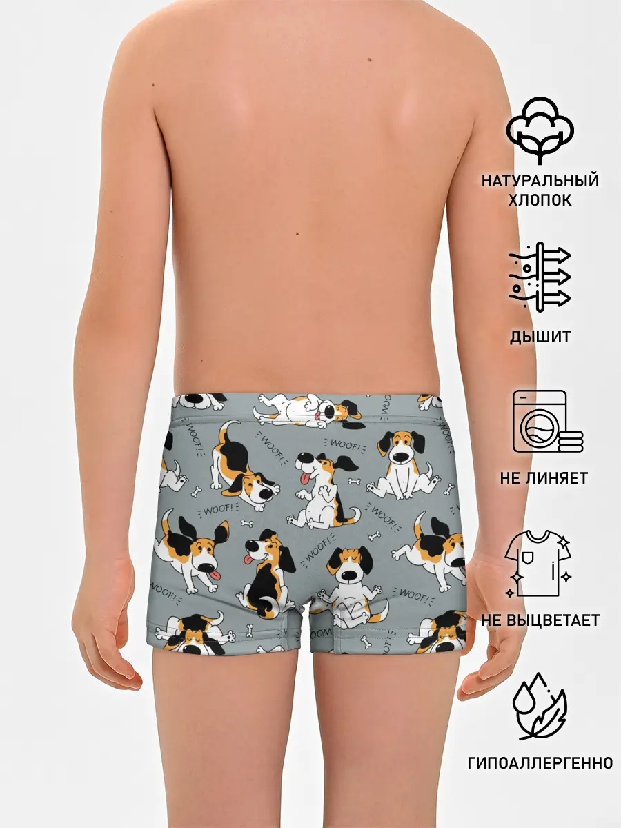 Трусы для мальчиков / Собаки Бигли