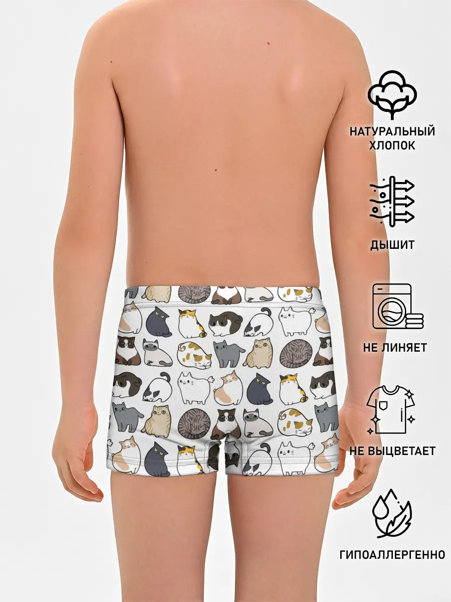 Трусы для мальчиков / Котики