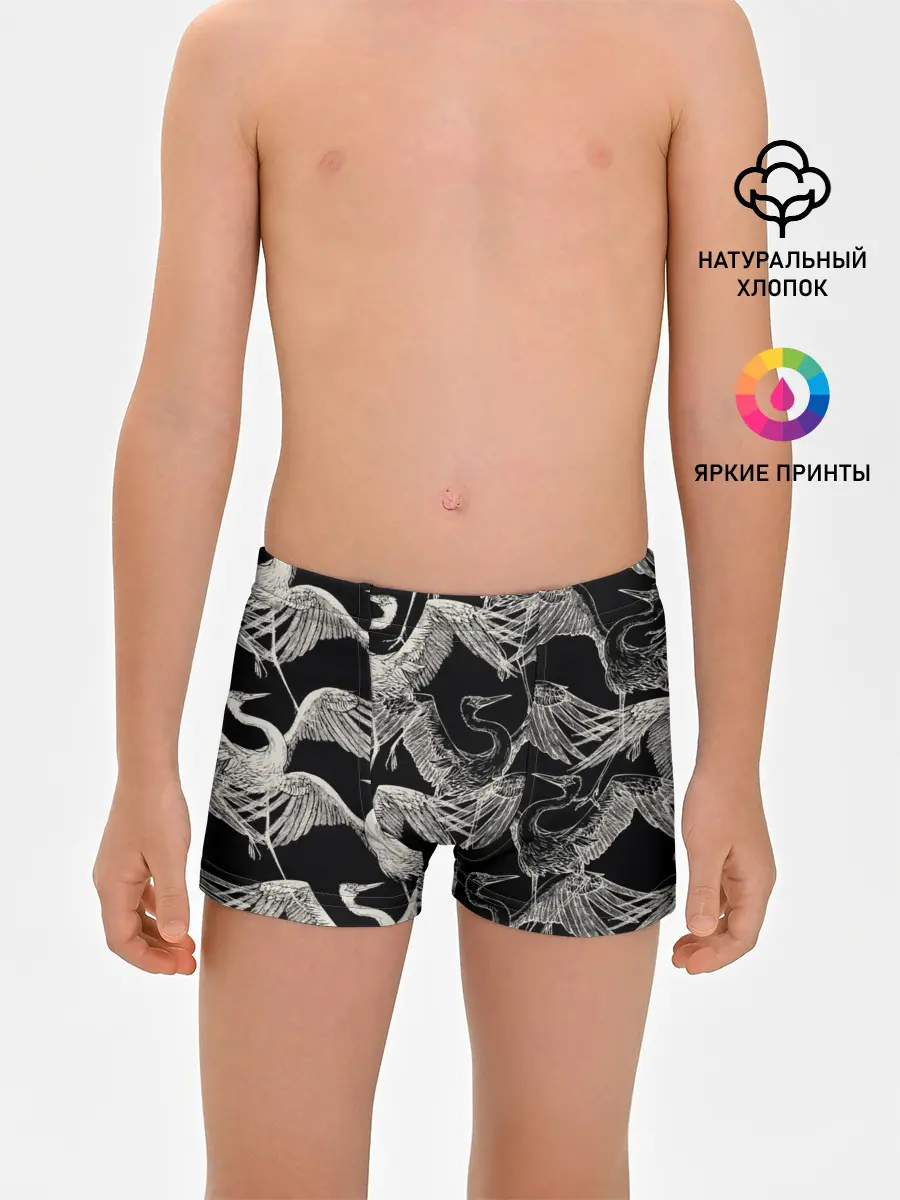 Трусы для мальчиков / Белые Птицы