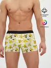 Мужские трусы боксеры / Разные Пчелы