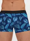 Мужские трусы боксеры / Листья. Ночные тропики