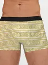 Мужские трусы боксеры / Орнамент древней Греции