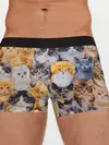 Мужские трусы боксеры / КОТЯТКИ