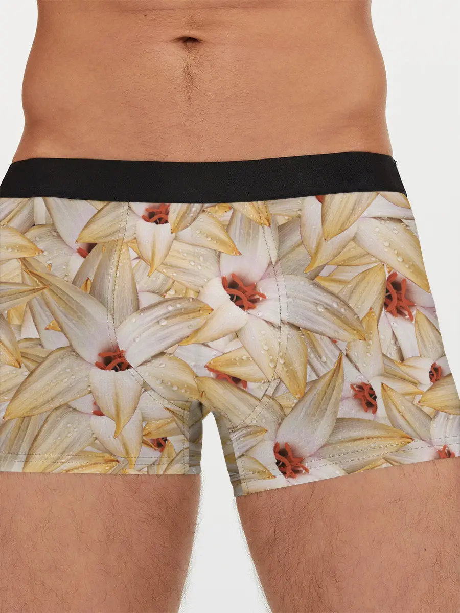 Мужские трусы боксеры / Яркие Цветы