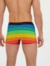 Мужские трусы боксеры / Радуга | Rainbow
