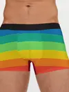 Мужские трусы боксеры / Радуга | Rainbow