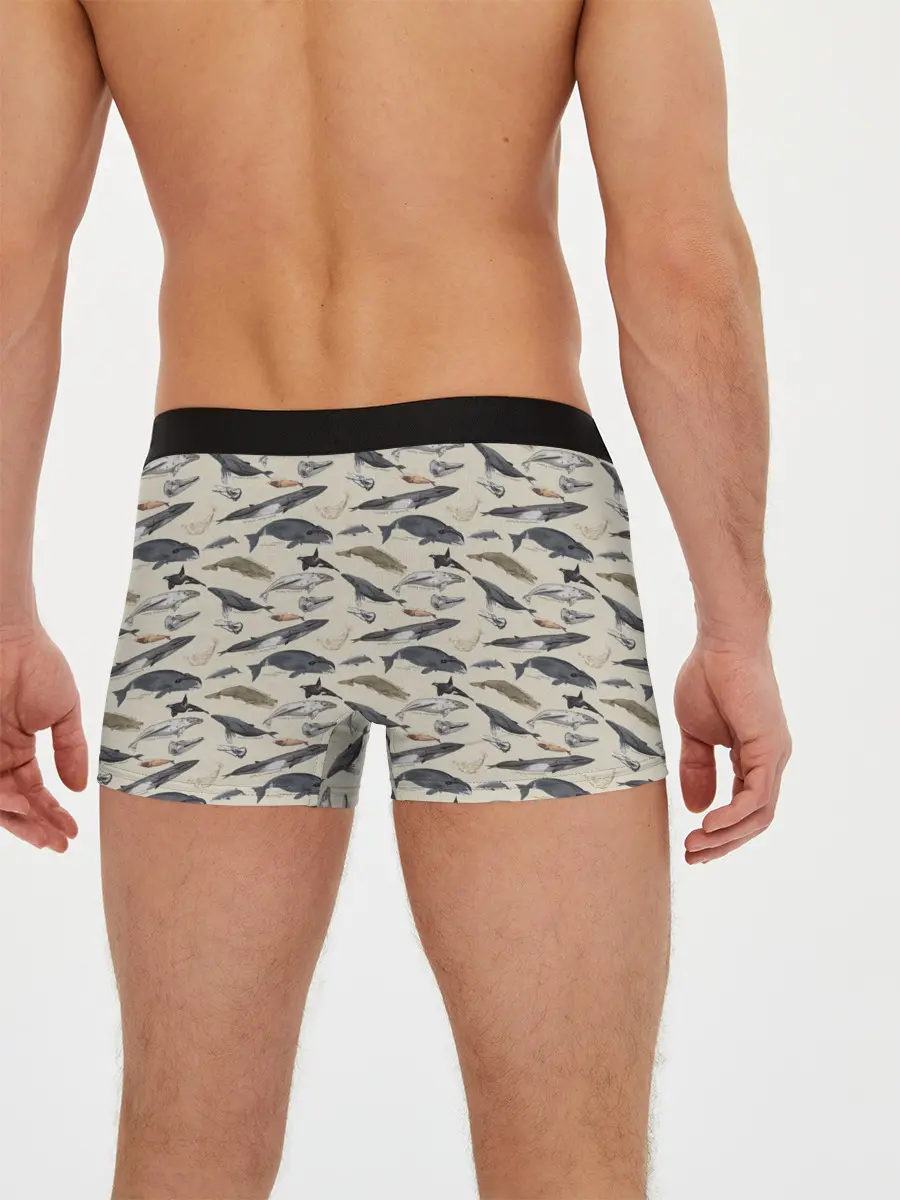Мужские трусы боксеры / Whales pattern