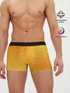 Мужские трусы боксеры / ЗЕНИЦУ КИМОНО