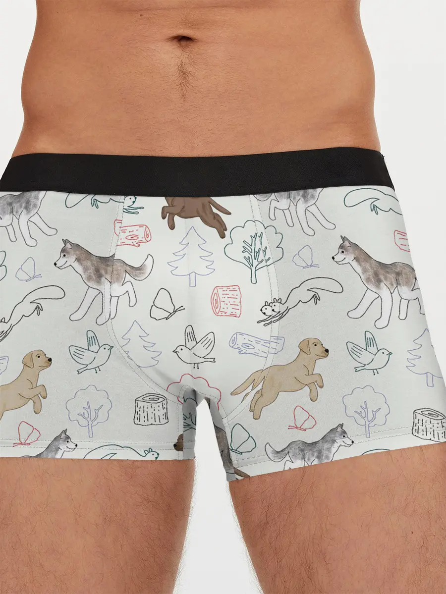 Мужские трусы боксеры / Рисунок домашних любимцев