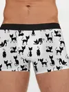 Мужские трусы боксеры / КОШКИ БЕЛОЕ НА ЧЕРНОМ