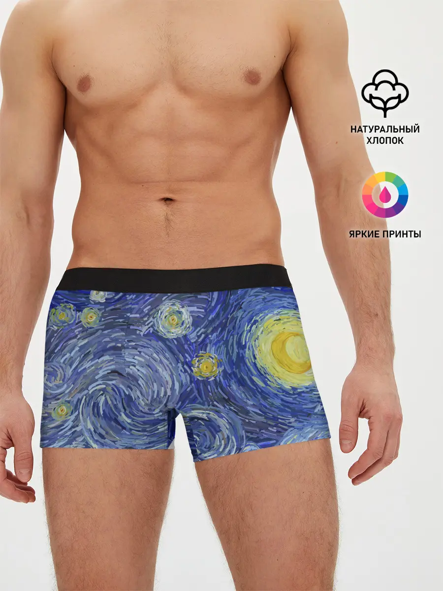 Мужские трусы боксеры / Полотно ван Гога