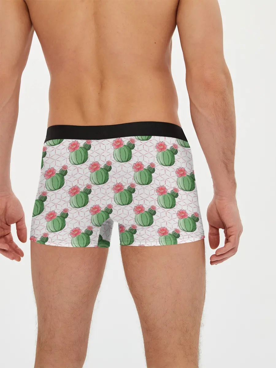 Мужские трусы боксеры / Паттерн из кактусов