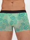 Мужские трусы боксеры / узор из листиков