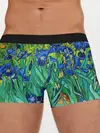 Мужские трусы боксеры / Ирисы Ван Гога