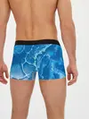 Мужские трусы боксеры / Ледяной
