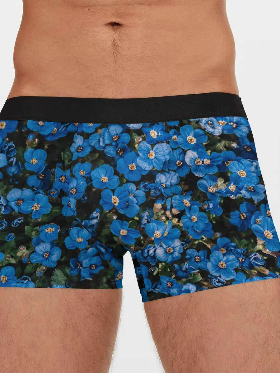 Мужские трусы боксеры / Поле синих цветов фиалки лето