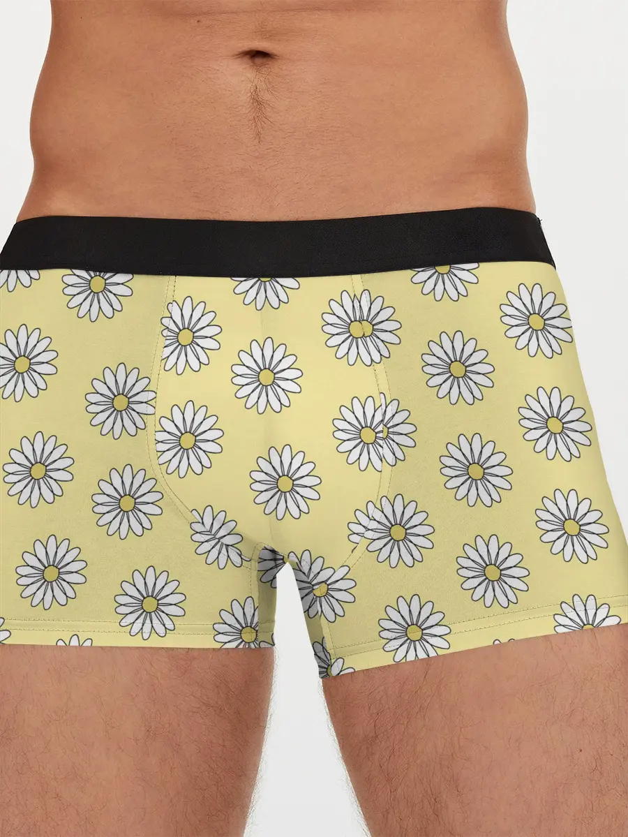 Мужские трусы боксеры / Ромашки | 2