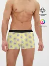 Мужские трусы боксеры / Ромашки | 2