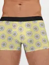 Мужские трусы боксеры / Ромашки | 2