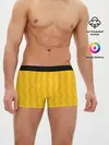 Мужские трусы боксеры / SPORT WEAR